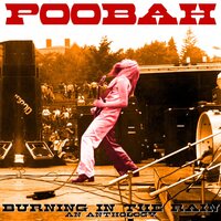Poobah - Burning In The Rain: An Anthology vinyl cover