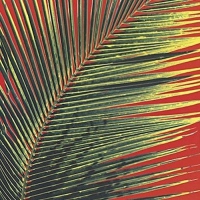 Poolside - Contact High vinyl cover