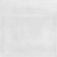 Popp - Blizz vinyl cover