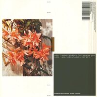 Popp Polygonia - Candid vinyl cover