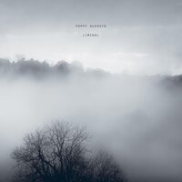 Poppy Ackroyd - Liminal vinyl cover