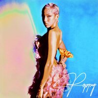Poppy Ajudha - Poppy vinyl cover
