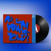 Porches - All Day Gentle Hold ! vinyl cover