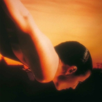 Porcupine Tree - On The Sunday Of Life vinyl cover