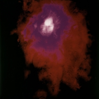 Porcupine Tree - Up The Downstair vinyl cover