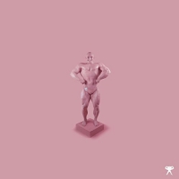 Portamento Boys - I Never Koos This Life vinyl cover