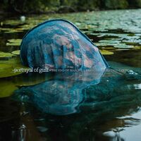 Portrayal Of Guilt  &  Slow Fire Pistol - Split vinyl cover