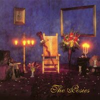 Posies - Dear 23 45 Rpm vinyl cover