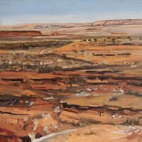 Possum Moods - Northern Times vinyl cover