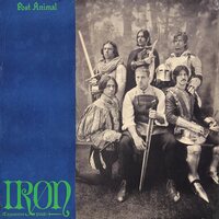 Post Animal - Iron Expansion Pack (Silver) vinyl cover