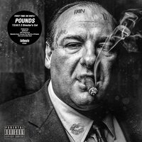 Pounds - T.O.N.Y. 2 Director's Cut vinyl cover