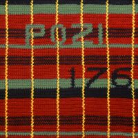 Pozi - 176 vinyl cover