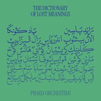 Praed Orchestra - The Dictionary Of Lost Meanings vinyl cover
