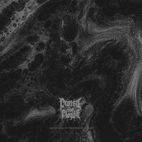 Praise the Plague - Suffocating In The Current Of Time vinyl cover