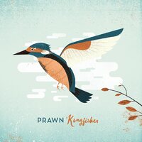 Prawn - Kingfisher (Deluxe Edition, Tan/Seafoam) vinyl cover