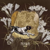 Prawn - Run vinyl cover