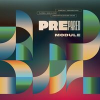 Prepared - Module vinyl cover