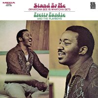 Pretty Purdie and The Playboys - Stand by Me (Whatcha See Is Whatcha Get) vinyl cover