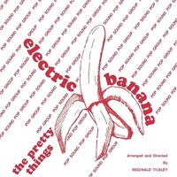 Pretty Things - Electric Banana 1967-1969 45Rpm vinyl cover