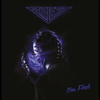 Priest - New Flesh vinyl cover