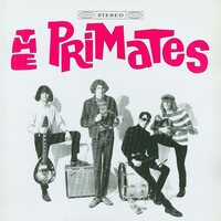 Primates - We Are The Primates vinyl cover