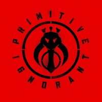 Primitive Ignorant - Sikh Punk vinyl cover