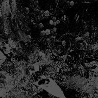 Primitive Man And Unearthly Trance - Split vinyl cover