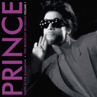 Prince - Naked In The Summertime: Vol.1 vinyl cover