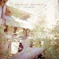 Principe Valiente - Barricades vinyl cover