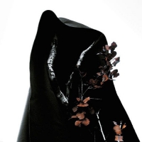Process Of Guilt - Black Earth vinyl cover