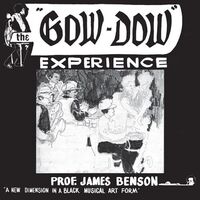 Prof James Benson - The Gow Dow Experience vinyl cover