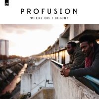 Profusion - Where Do I Begin vinyl cover