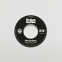 Project Gemini and The Space Donkeys - After The Dawn (Large Plants Remix / Darkness Rising) vinyl cover