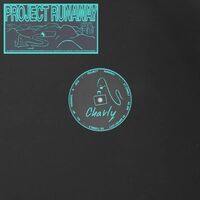 Project Runaway - Charly vinyl cover