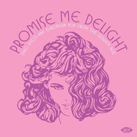 Promise Me Delight: Italo Disco & European Pop - Promise Me Delight: Italo Disco & European Pop From The Golden Age vinyl cover