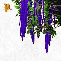 Proper. - The Great American Novel (Bone & Grey) vinyl cover