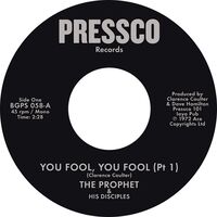 Prophet & His Disciples - You Fool You Fool Pt 1 You Fool You Fool Pt2 vinyl cover