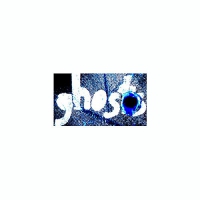 Prostitutes - Ghost Detergent vinyl cover