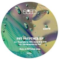 Pst & Friends - Tryptmix vinyl cover