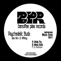 Psychedelic Budz & Aka Ciel X D Tiffany - Wonk Donk vinyl cover