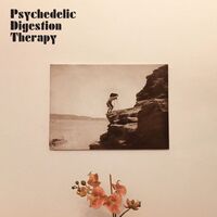Psychedelic Digestion Therapy - Psychedelic Digestion Therapy vinyl cover