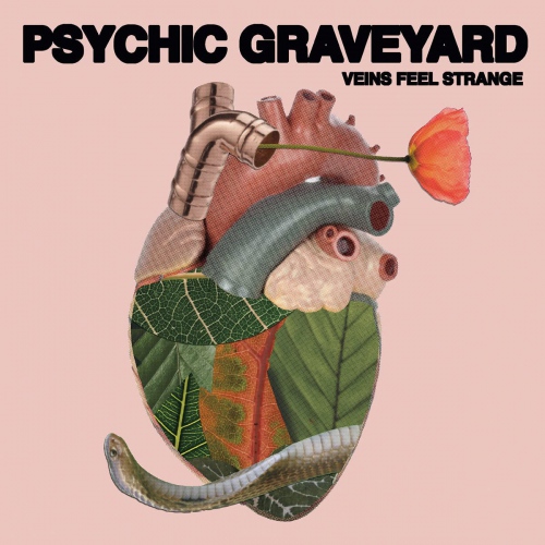 Psychic Graveyard - Veins Feel Strange