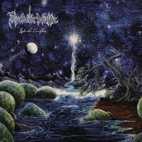 Psychotic Waltz - Into The Everflow 2024 vinyl cover