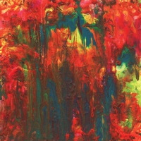 Psymun - Rainbow Party vinyl cover