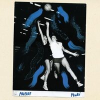 Ptaki - Przelot vinyl cover