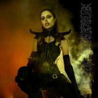 Ptwiggs - Darkening Of Light vinyl cover