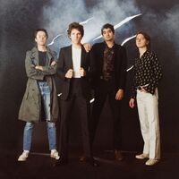 Public Access T.v. - Street Safari vinyl cover