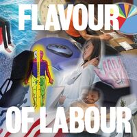 Public Body - Flavour Of Labour vinyl cover