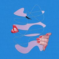 Public Practice - Gentle Grip vinyl cover