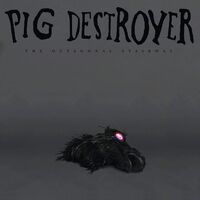 Pug Destroyer - Octagonal Stairway vinyl cover